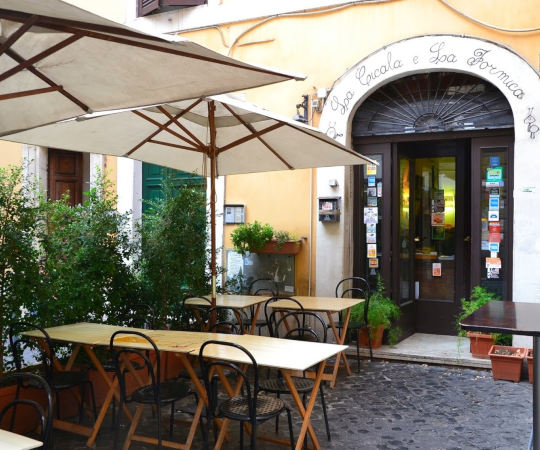 cicala-la-formica-ristorante-monti-sconto-540_1