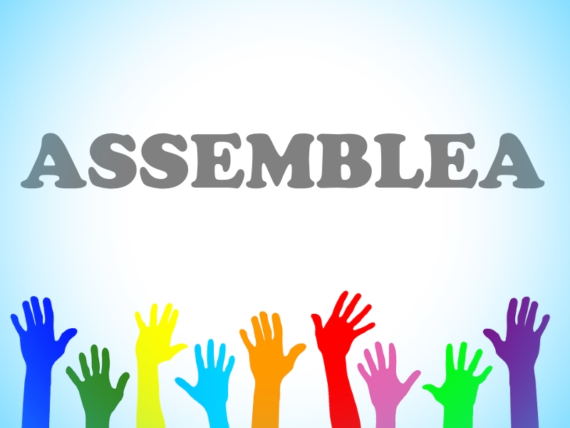 assemblea_lni